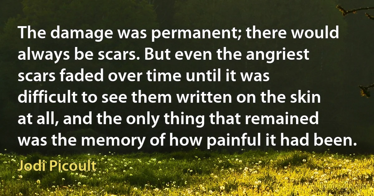 The damage was permanent; there would always be scars. But even the angriest scars faded over time until it was difficult to see them written on the skin at all, and the only thing that remained was the memory of how painful it had been. (Jodi Picoult)