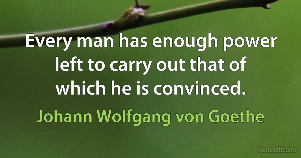 Every man has enough power left to carry out that of which he is convinced. (Johann Wolfgang von Goethe)