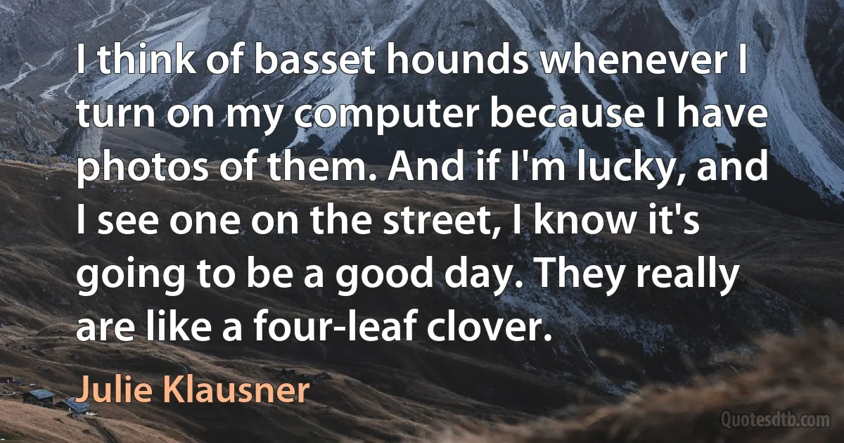 I think of basset hounds whenever I turn on my computer because I have photos of them. And if I'm lucky, and I see one on the street, I know it's going to be a good day. They really are like a four-leaf clover. (Julie Klausner)