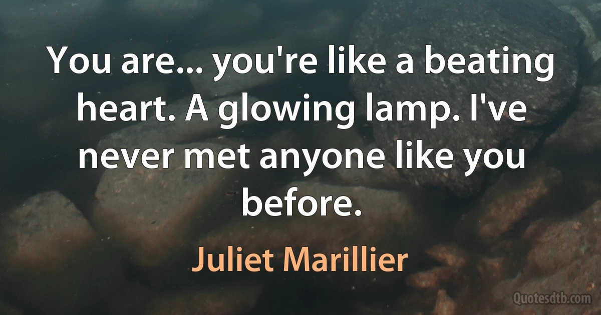 You are... you're like a beating heart. A glowing lamp. I've never met anyone like you before. (Juliet Marillier)