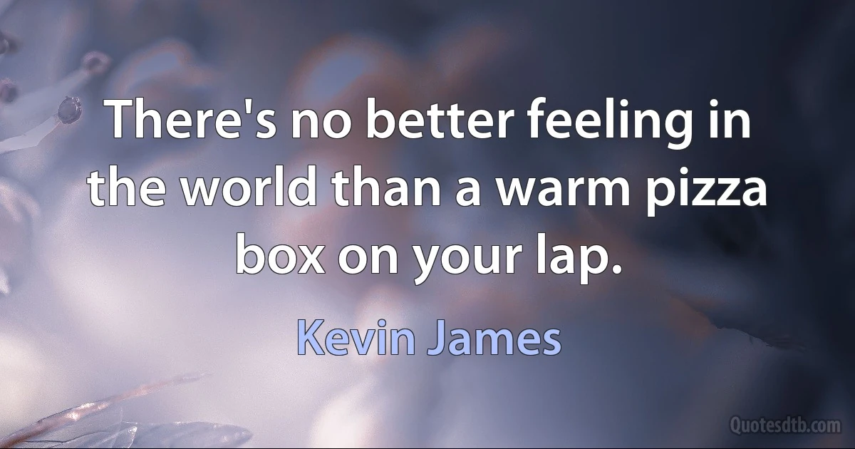 There's no better feeling in the world than a warm pizza box on your lap. (Kevin James)