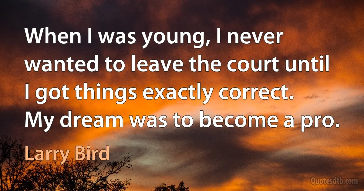 When I was young, I never wanted to leave the court until I got things exactly correct. My dream was to become a pro. (Larry Bird)