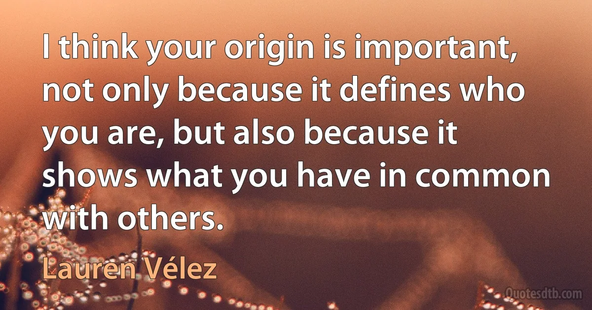 I think your origin is important, not only because it defines who you are, but also because it shows what you have in common with others. (Lauren Vélez)