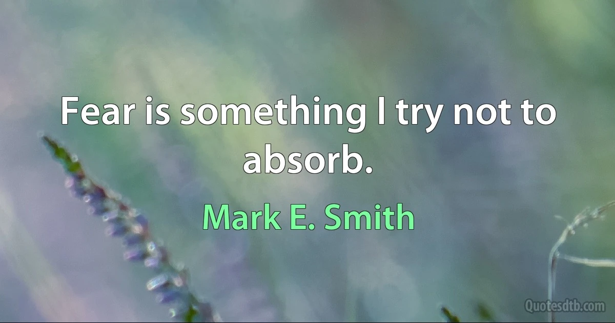 Fear is something I try not to absorb. (Mark E. Smith)