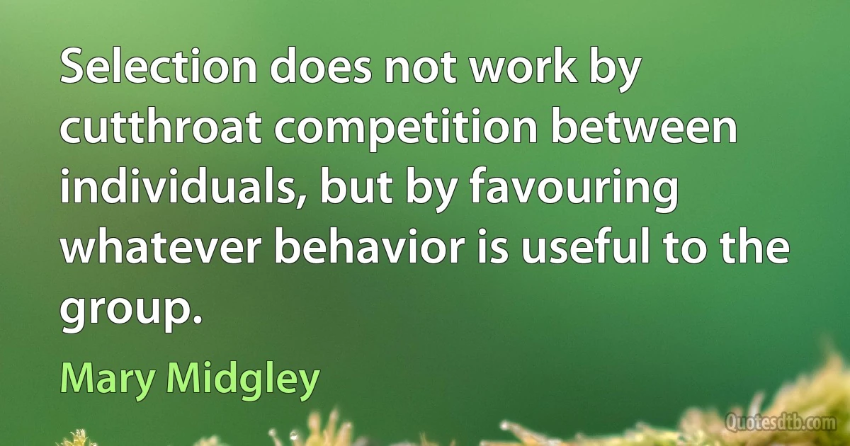 Selection does not work by cutthroat competition between individuals, but by favouring whatever behavior is useful to the group. (Mary Midgley)