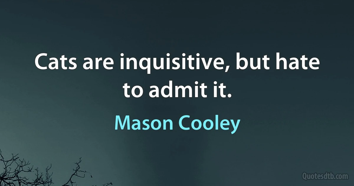 Cats are inquisitive, but hate to admit it. (Mason Cooley)