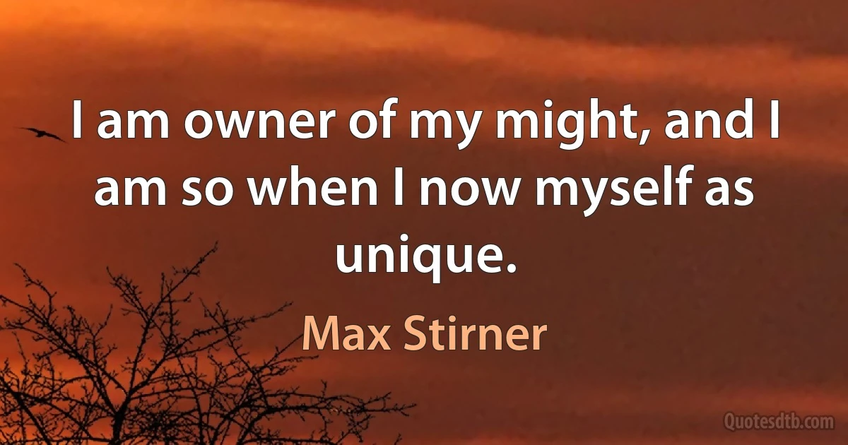 I am owner of my might, and I am so when I now myself as unique. (Max Stirner)