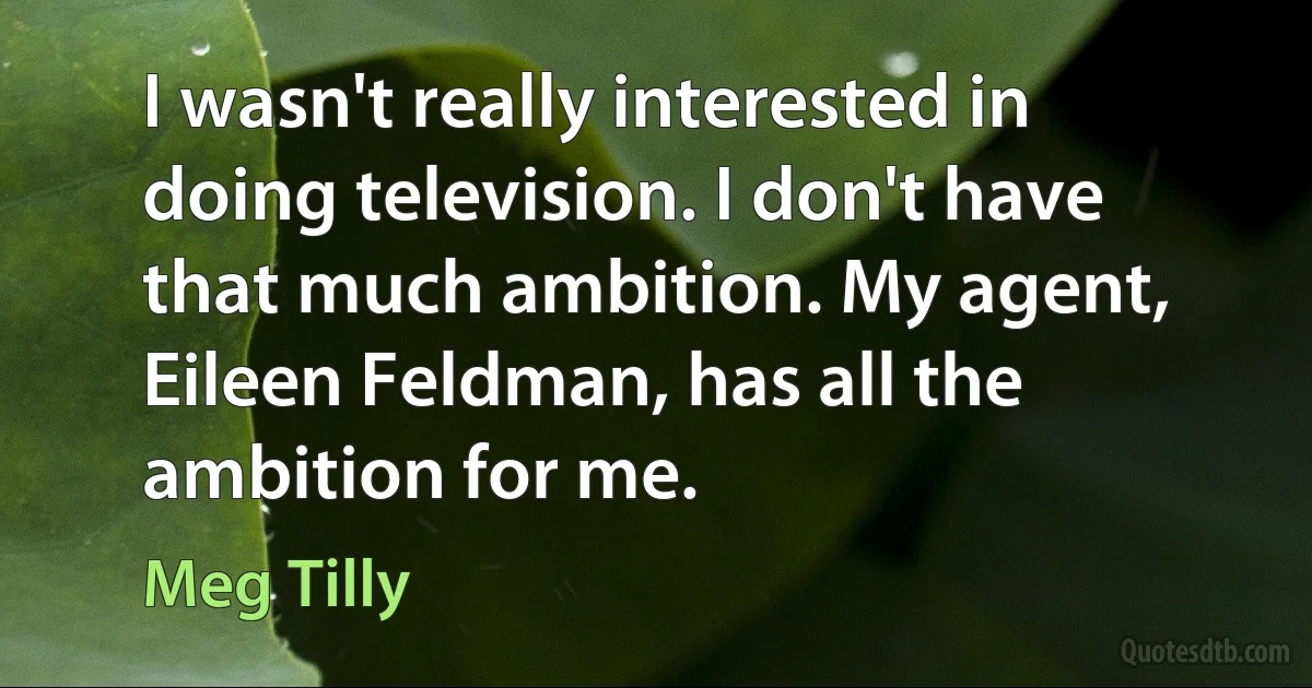 I wasn't really interested in doing television. I don't have that much ambition. My agent, Eileen Feldman, has all the ambition for me. (Meg Tilly)