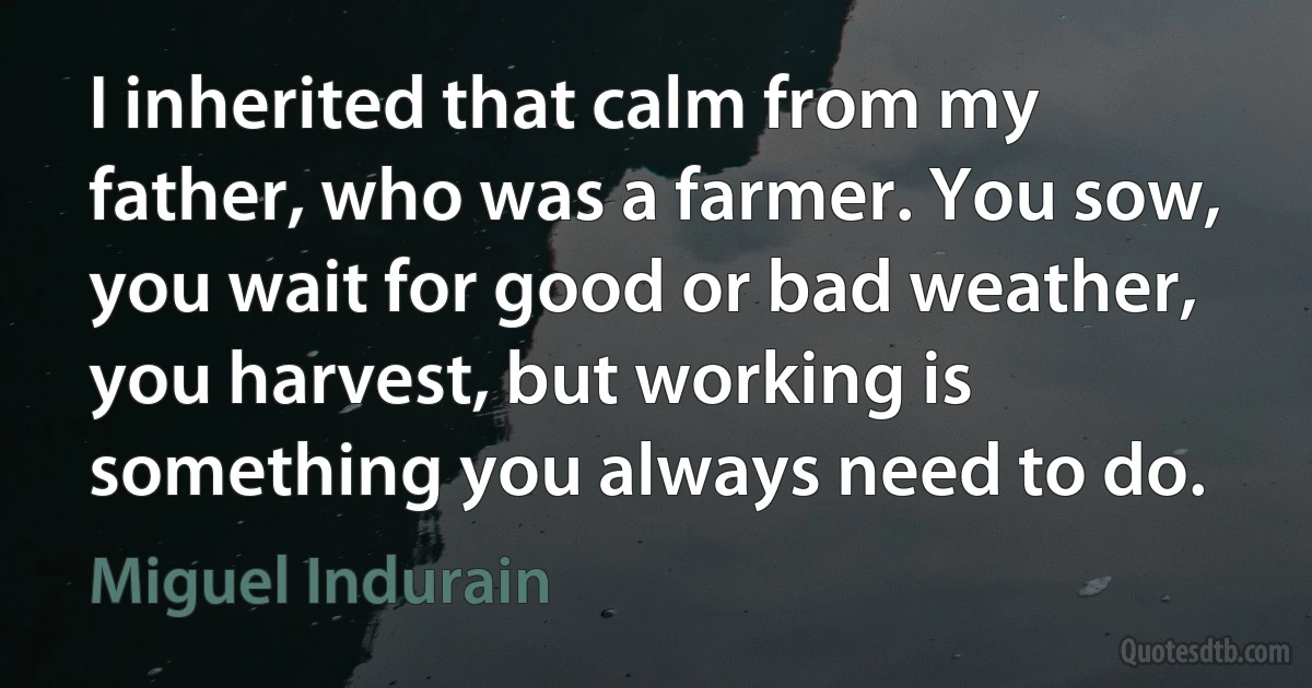 I inherited that calm from my father, who was a farmer. You sow, you wait for good or bad weather, you harvest, but working is something you always need to do. (Miguel Indurain)