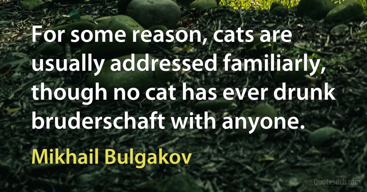 For some reason, cats are usually addressed familiarly, though no cat has ever drunk bruderschaft with anyone. (Mikhail Bulgakov)