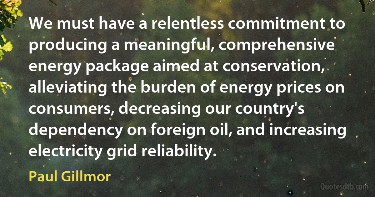 We must have a relentless commitment to producing a meaningful, comprehensive energy package aimed at conservation, alleviating the burden of energy prices on consumers, decreasing our country's dependency on foreign oil, and increasing electricity grid reliability. (Paul Gillmor)