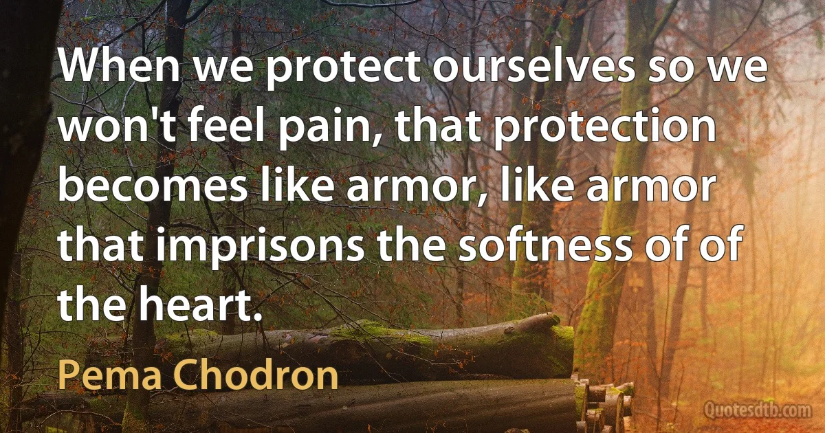 When we protect ourselves so we won't feel pain, that protection becomes like armor, like armor that imprisons the softness of of the heart. (Pema Chodron)