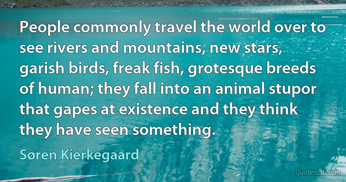 People commonly travel the world over to see rivers and mountains, new stars, garish birds, freak fish, grotesque breeds of human; they fall into an animal stupor that gapes at existence and they think they have seen something. (Søren Kierkegaard)