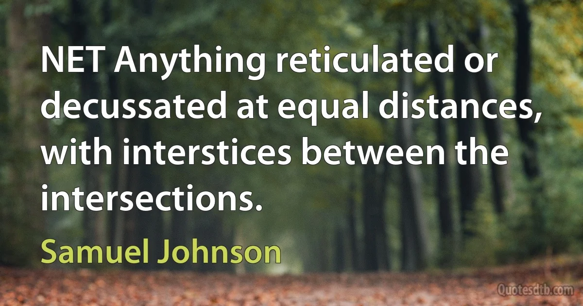 NET Anything reticulated or decussated at equal distances, with interstices between the intersections. (Samuel Johnson)