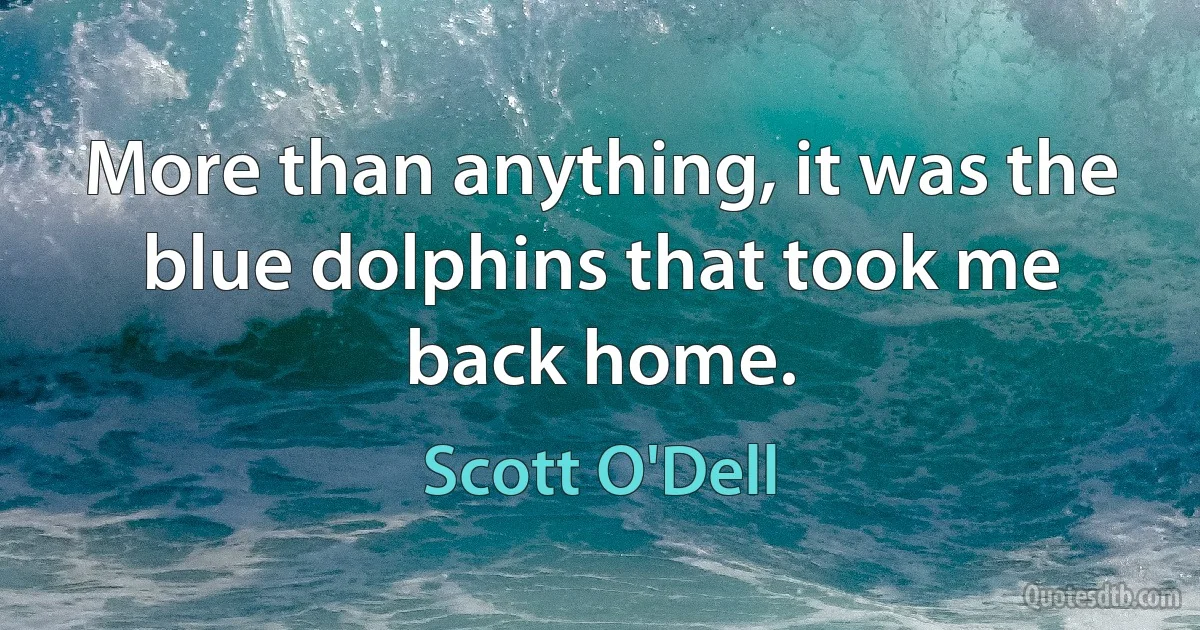 More than anything, it was the blue dolphins that took me back home. (Scott O'Dell)