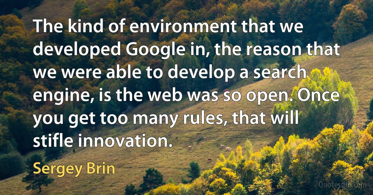 The kind of environment that we developed Google in, the reason that we were able to develop a search engine, is the web was so open. Once you get too many rules, that will stifle innovation. (Sergey Brin)