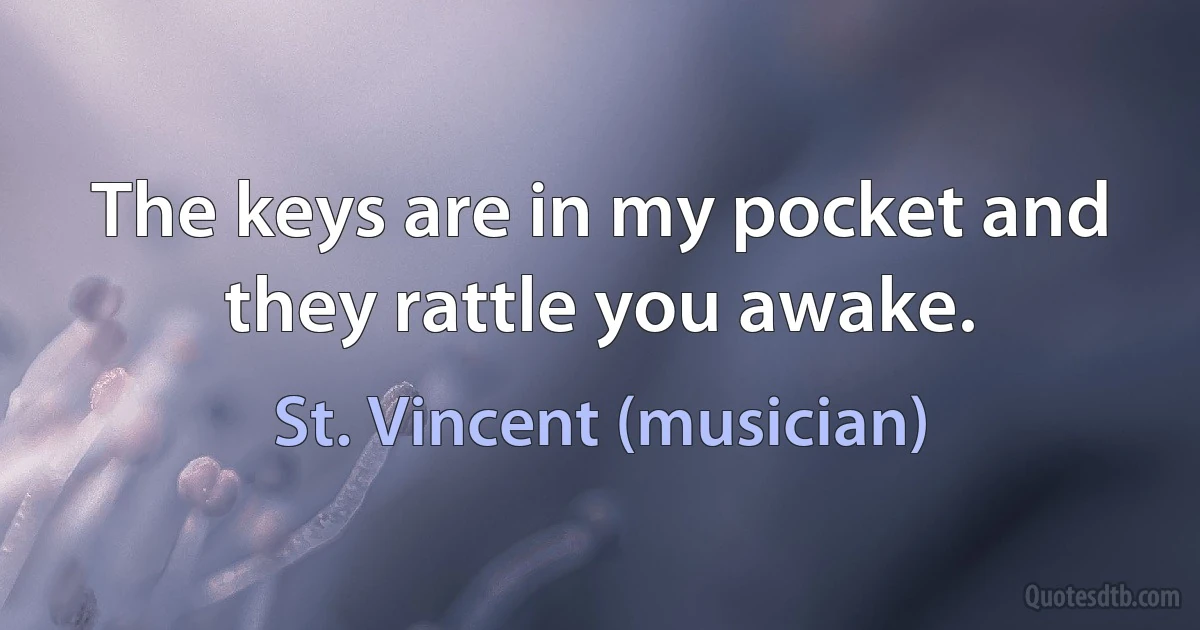 The keys are in my pocket and they rattle you awake. (St. Vincent (musician))