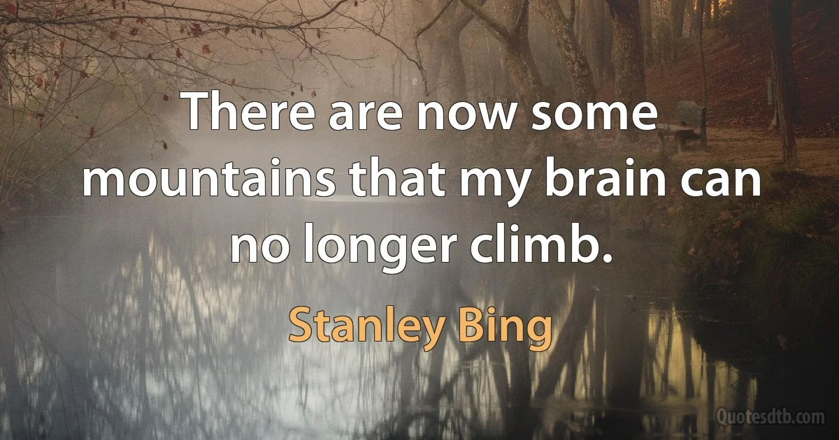 There are now some mountains that my brain can no longer climb. (Stanley Bing)