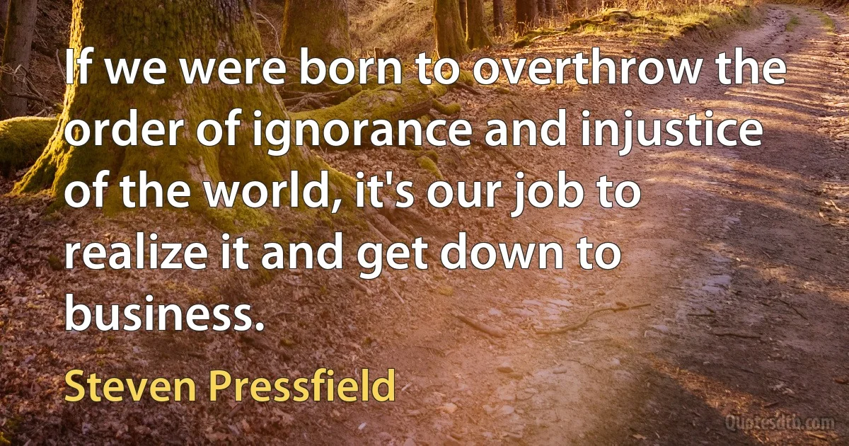 If we were born to overthrow the order of ignorance and injustice of the world, it's our job to realize it and get down to business. (Steven Pressfield)