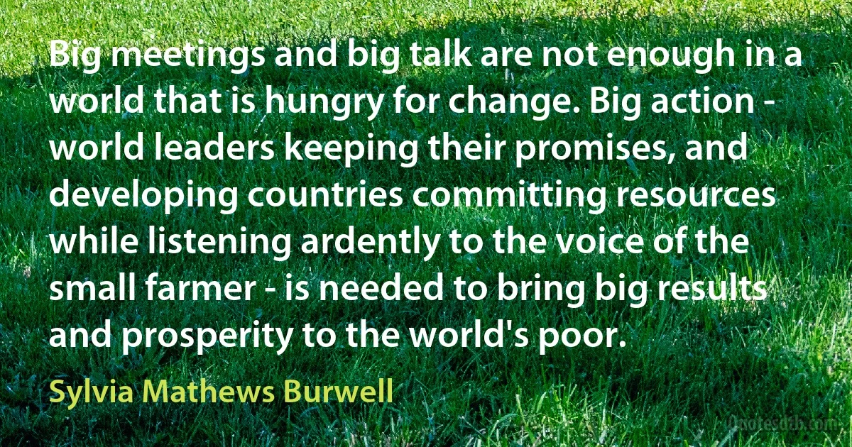 Big meetings and big talk are not enough in a world that is hungry for change. Big action - world leaders keeping their promises, and developing countries committing resources while listening ardently to the voice of the small farmer - is needed to bring big results and prosperity to the world's poor. (Sylvia Mathews Burwell)