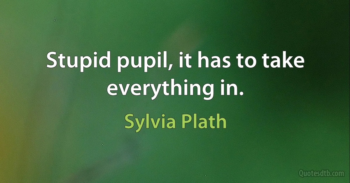 Stupid pupil, it has to take everything in. (Sylvia Plath)