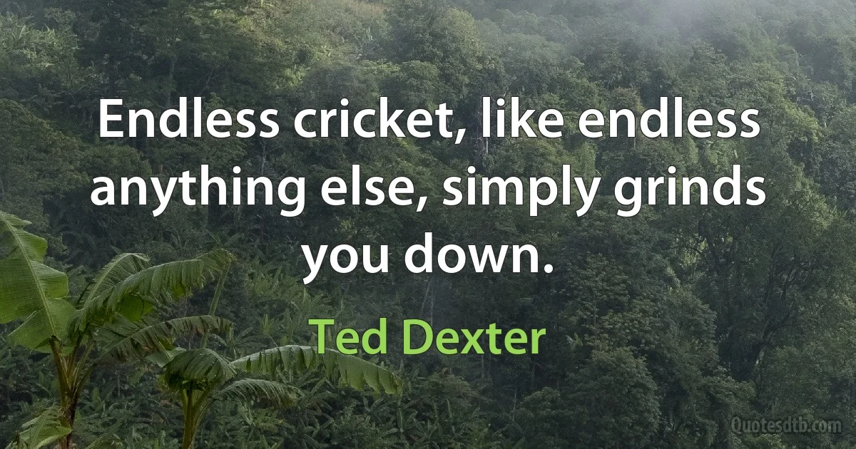 Endless cricket, like endless anything else, simply grinds you down. (Ted Dexter)