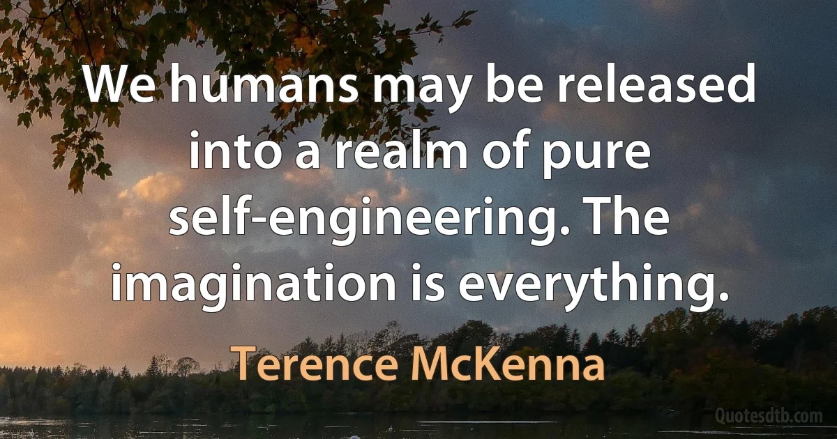 We humans may be released into a realm of pure self-engineering. The imagination is everything. (Terence McKenna)