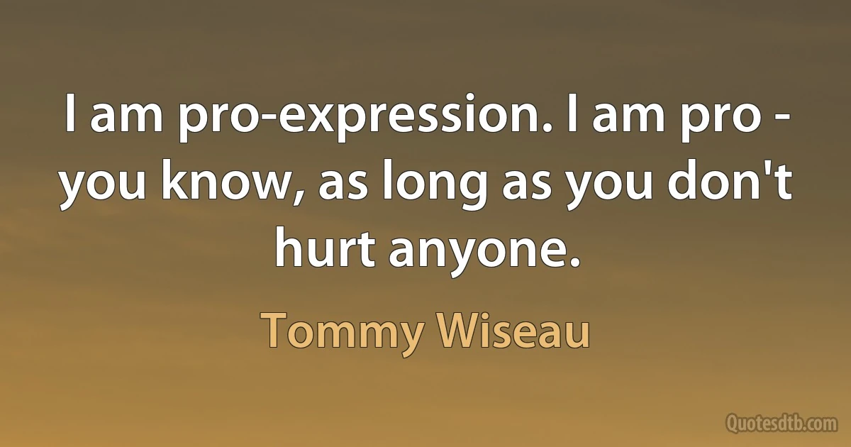 I am pro-expression. I am pro - you know, as long as you don't hurt anyone. (Tommy Wiseau)