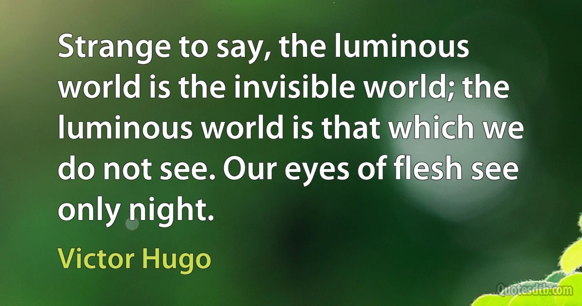 Strange to say, the luminous world is the invisible world; the luminous world is that which we do not see. Our eyes of flesh see only night. (Victor Hugo)