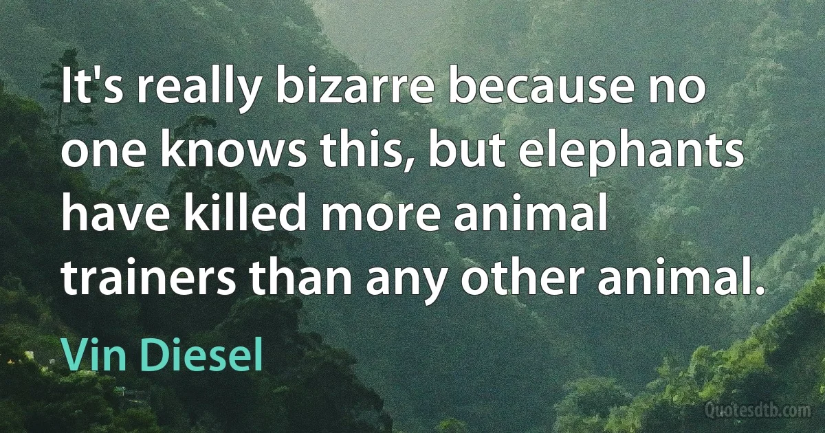 It's really bizarre because no one knows this, but elephants have killed more animal trainers than any other animal. (Vin Diesel)