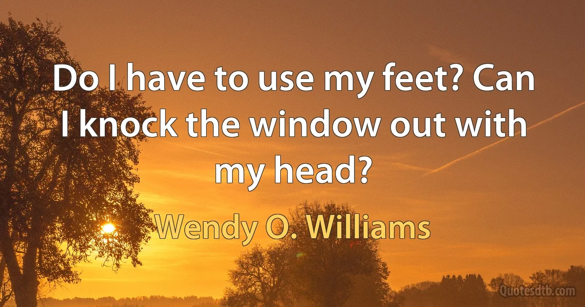 Do I have to use my feet? Can I knock the window out with my head? (Wendy O. Williams)