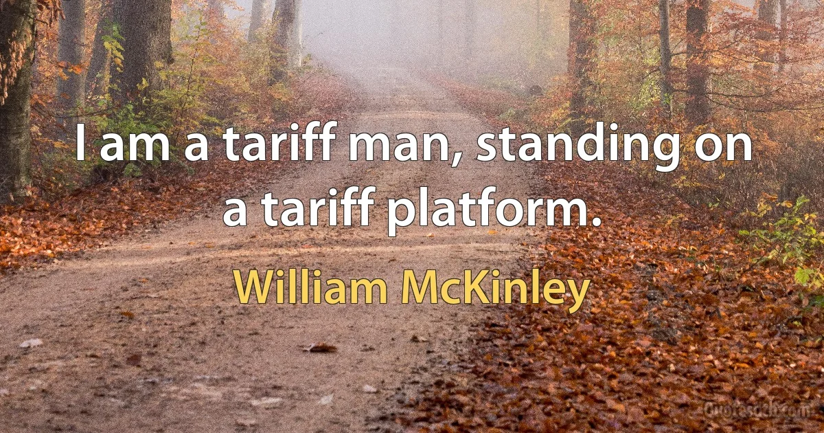 I am a tariff man, standing on a tariff platform. (William McKinley)