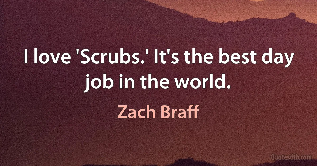 I love 'Scrubs.' It's the best day job in the world. (Zach Braff)