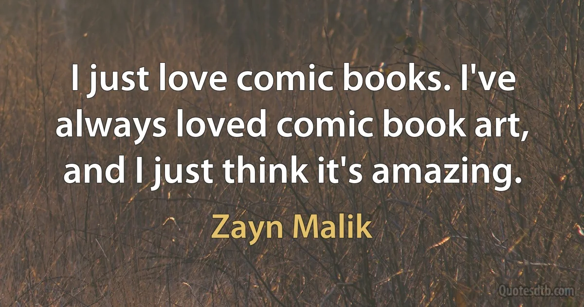 I just love comic books. I've always loved comic book art, and I just think it's amazing. (Zayn Malik)