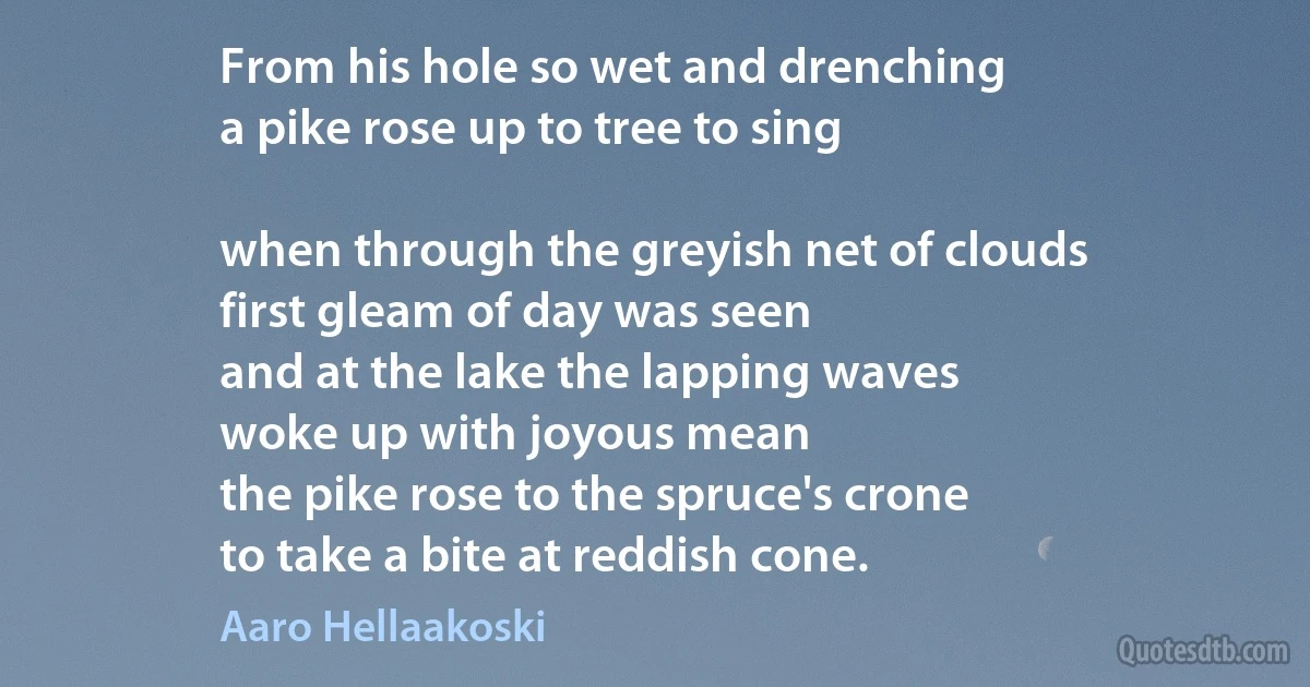 From his hole so wet and drenching
a pike rose up to tree to sing

when through the greyish net of clouds
first gleam of day was seen
and at the lake the lapping waves
woke up with joyous mean
the pike rose to the spruce's crone
to take a bite at reddish cone. (Aaro Hellaakoski)