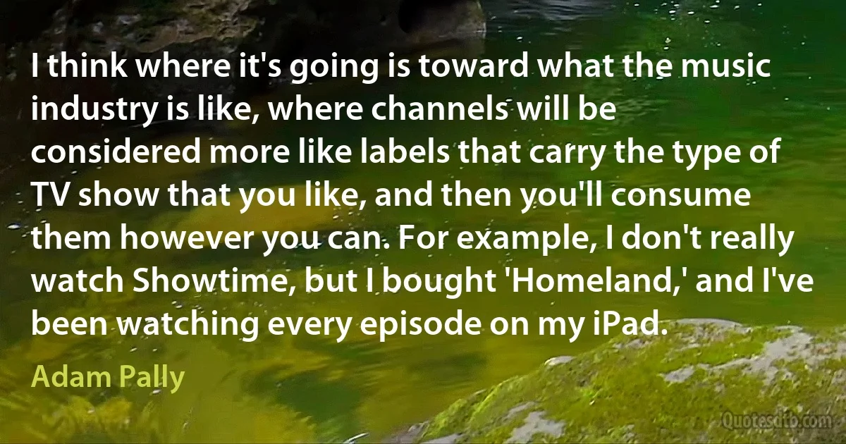 I think where it's going is toward what the music industry is like, where channels will be considered more like labels that carry the type of TV show that you like, and then you'll consume them however you can. For example, I don't really watch Showtime, but I bought 'Homeland,' and I've been watching every episode on my iPad. (Adam Pally)