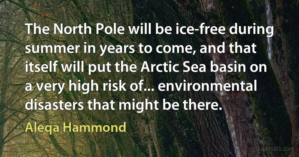 The North Pole will be ice-free during summer in years to come, and that itself will put the Arctic Sea basin on a very high risk of... environmental disasters that might be there. (Aleqa Hammond)