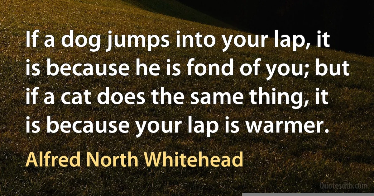 If a dog jumps into your lap, it is because he is fond of you; but if a cat does the same thing, it is because your lap is warmer. (Alfred North Whitehead)