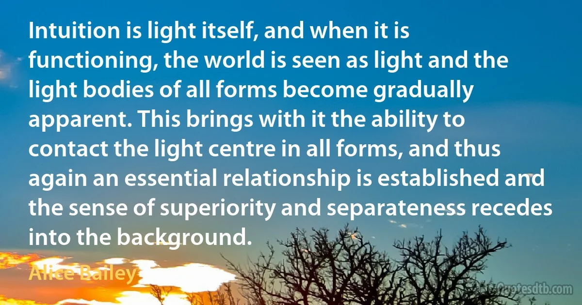 Intuition is light itself, and when it is functioning, the world is seen as light and the light bodies of all forms become gradually apparent. This brings with it the ability to contact the light centre in all forms, and thus again an essential relationship is established and the sense of superiority and separateness recedes into the background. (Alice Bailey)