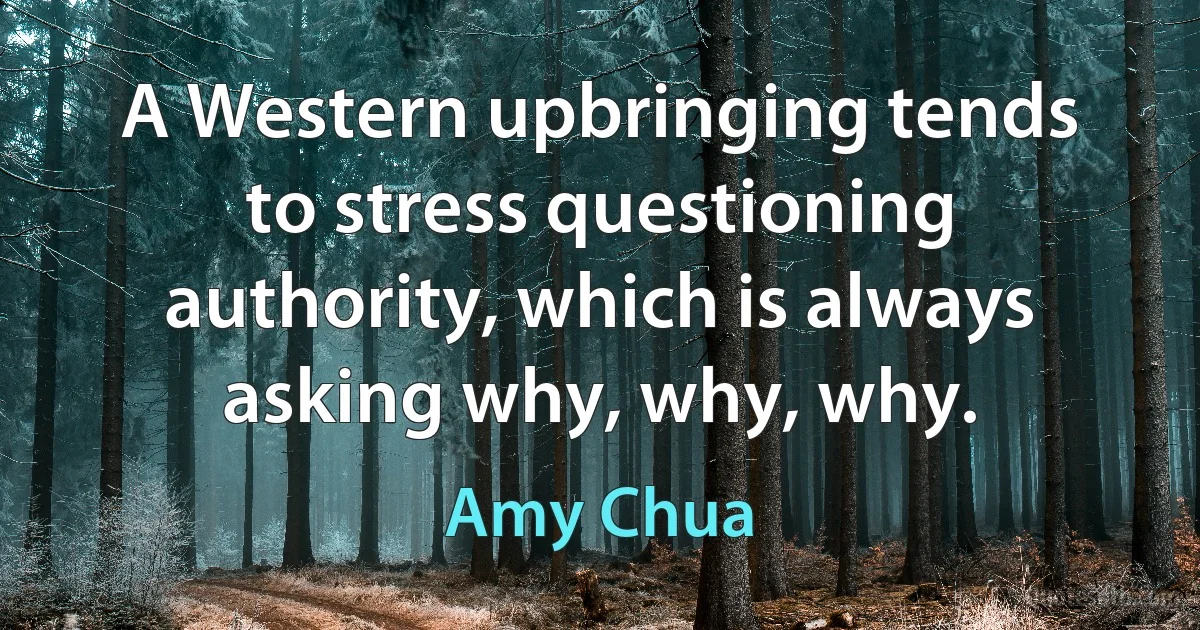 A Western upbringing tends to stress questioning authority, which is always asking why, why, why. (Amy Chua)