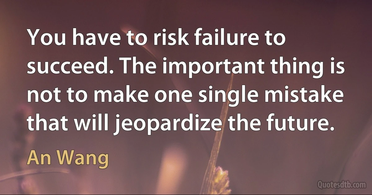 You have to risk failure to succeed. The important thing is not to make one single mistake that will jeopardize the future. (An Wang)