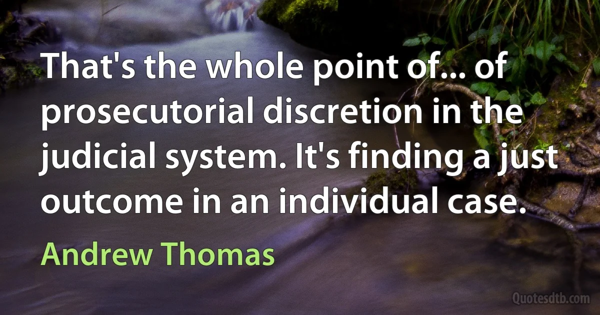 That's the whole point of... of prosecutorial discretion in the judicial system. It's finding a just outcome in an individual case. (Andrew Thomas)