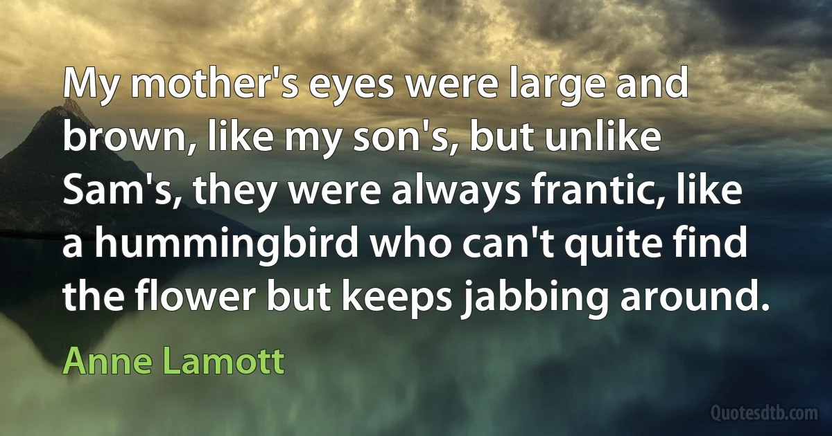 My mother's eyes were large and brown, like my son's, but unlike Sam's, they were always frantic, like a hummingbird who can't quite find the flower but keeps jabbing around. (Anne Lamott)