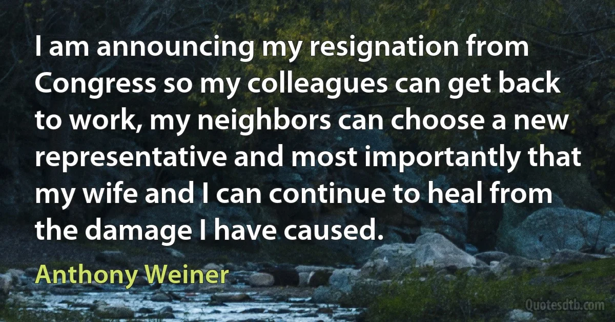 I am announcing my resignation from Congress so my colleagues can get back to work, my neighbors can choose a new representative and most importantly that my wife and I can continue to heal from the damage I have caused. (Anthony Weiner)