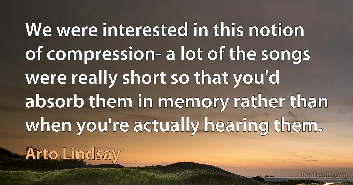 We were interested in this notion of compression- a lot of the songs were really short so that you'd absorb them in memory rather than when you're actually hearing them. (Arto Lindsay)