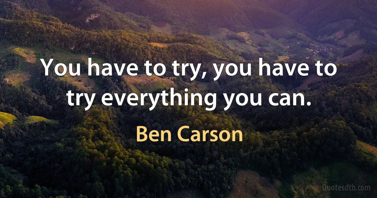 You have to try, you have to try everything you can. (Ben Carson)