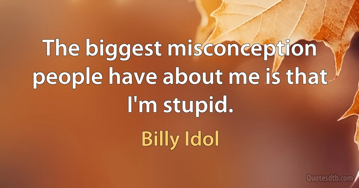 The biggest misconception people have about me is that I'm stupid. (Billy Idol)