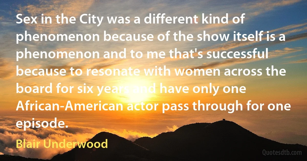 Sex in the City was a different kind of phenomenon because of the show itself is a phenomenon and to me that's successful because to resonate with women across the board for six years and have only one African-American actor pass through for one episode. (Blair Underwood)