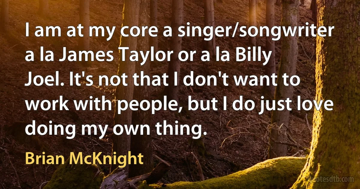 I am at my core a singer/songwriter a la James Taylor or a la Billy Joel. It's not that I don't want to work with people, but I do just love doing my own thing. (Brian McKnight)