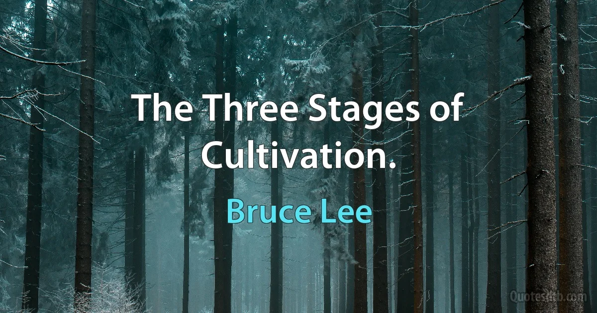 The Three Stages of Cultivation. (Bruce Lee)